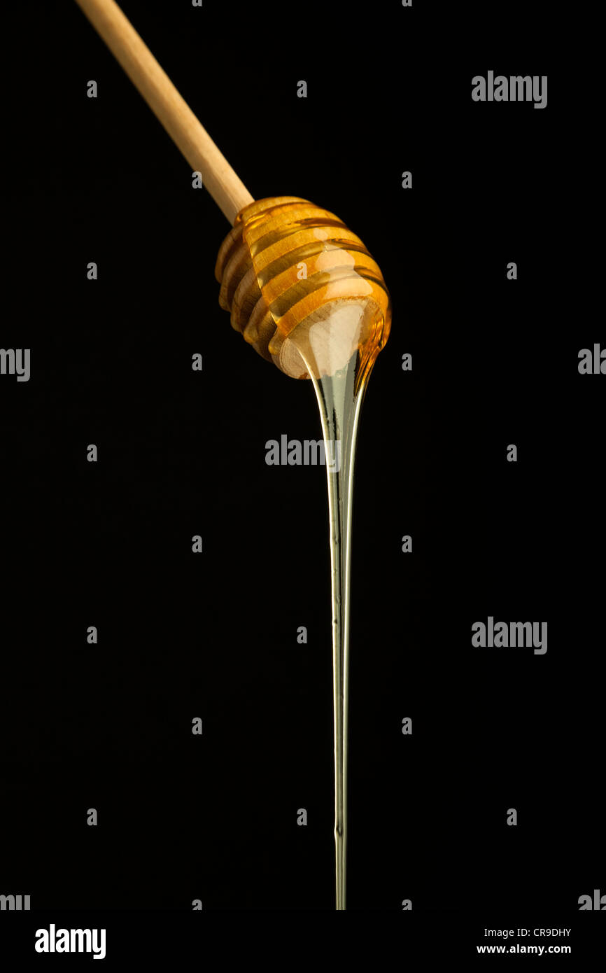 Miele di gocciolamento su sfondo nero. Foto Stock