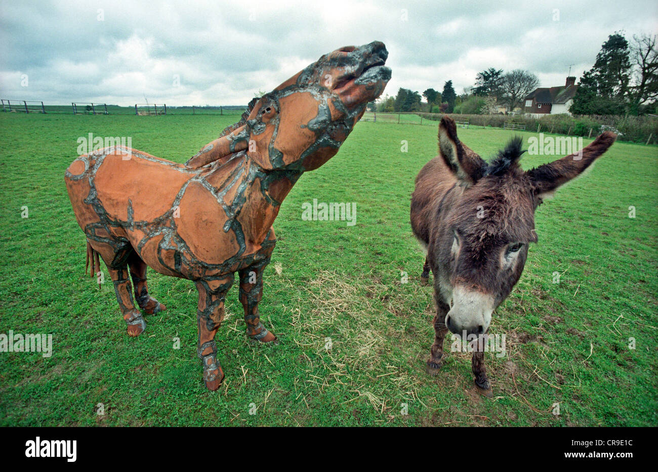 Un foglio di ferro scultura metallica di un asino da scultore Len Chatworthy in un campo di Ditchling, East Sussex è ammirato dal vivo da un asino Foto Stock