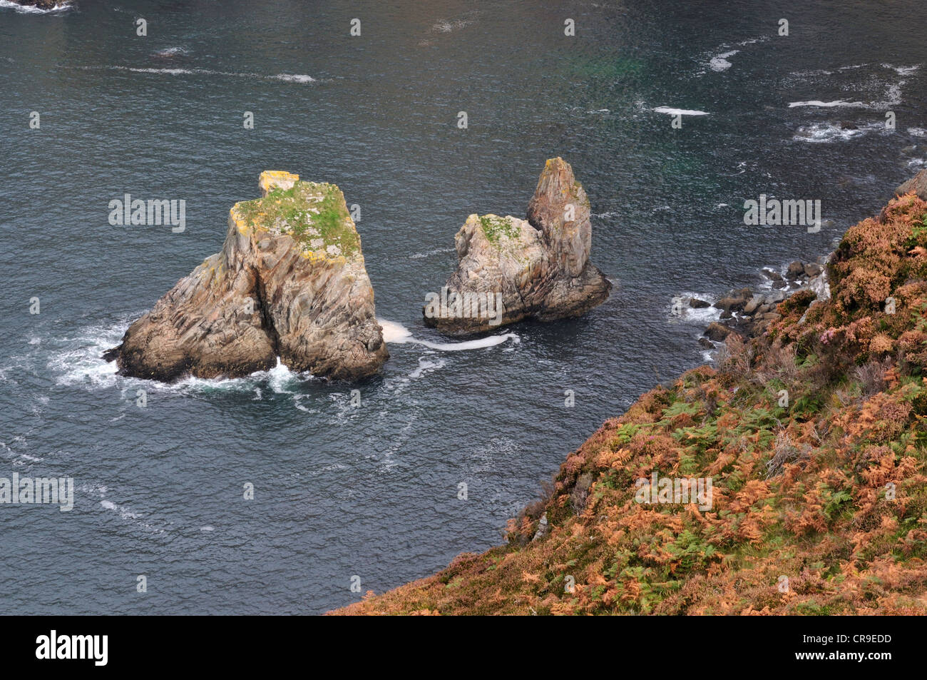 Slieve League, rupi più alte in Europa, Bunglass Point, County Donegal, Repubblica di Irlanda, Europa Foto Stock