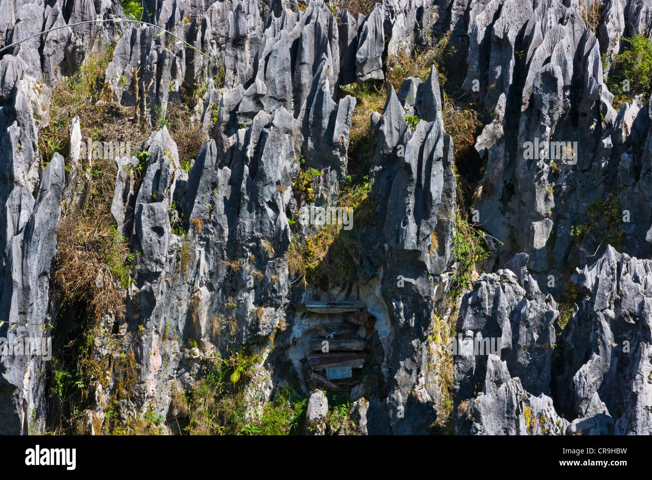 Appendere bara nel calcare montagna, Sagada, Provincia di montagna, Filippine Foto Stock