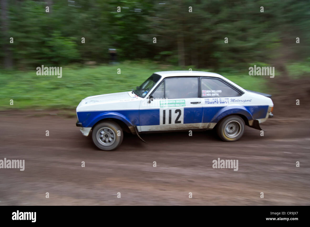 La Skoda Rainworth Dukeries Rally 2012 nella Foresta di Sherwood, Nottinghamshire Foto Stock