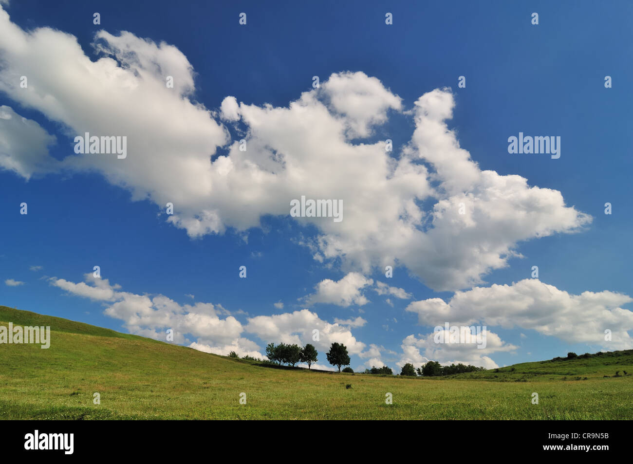 Campo di erba con le nubi sul cielo blu Foto Stock