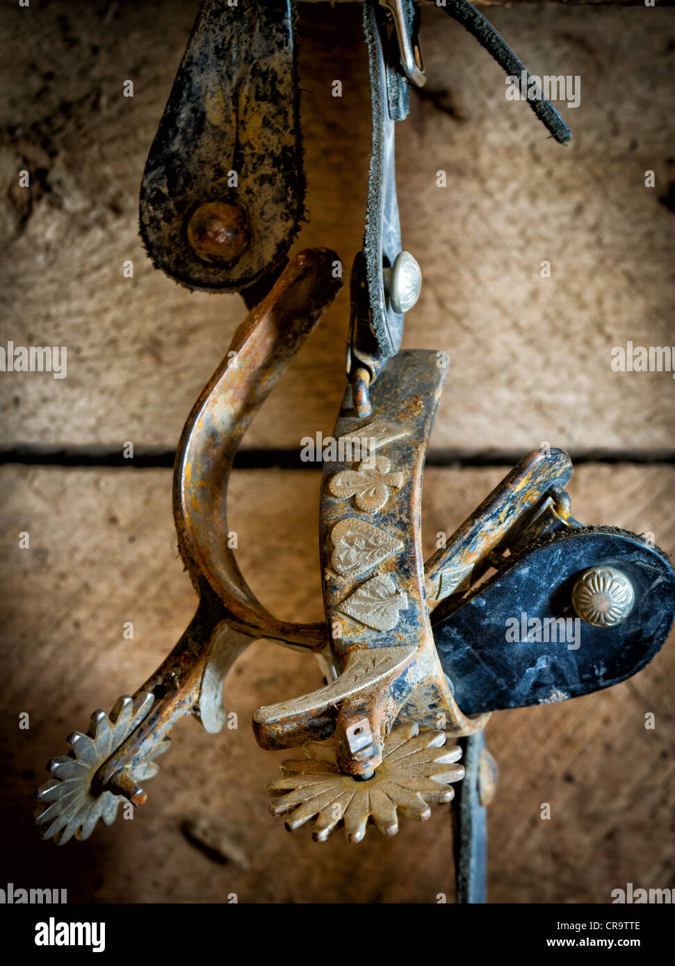 Ruote dentate su parete in camera di adesività su ranch nel Wyoming orientale Foto Stock