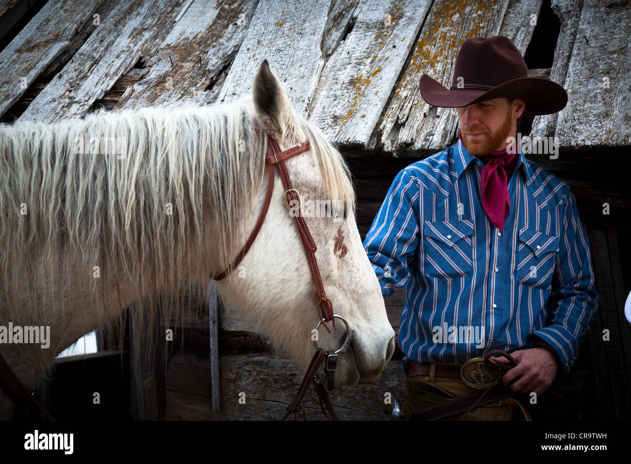 Un cowboy e il suo cavallo in un ranch nel nord-est del Wyoming Foto Stock