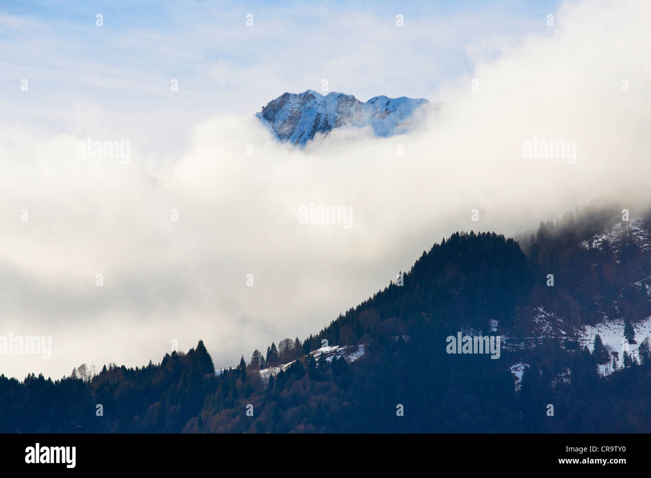 Neve e nebbia coperti picchi in Algovia orientale delle Alpi Foto Stock