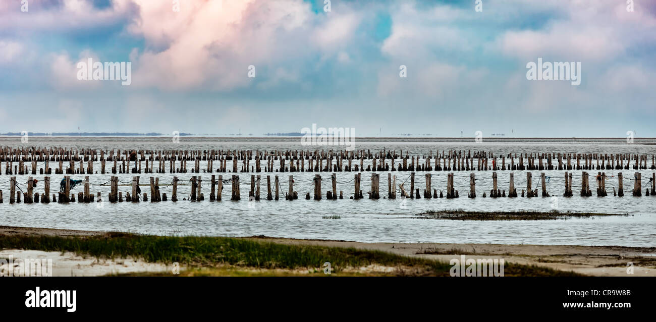 Il Wadden Sea dall'isola Mando, Danimarca Foto Stock