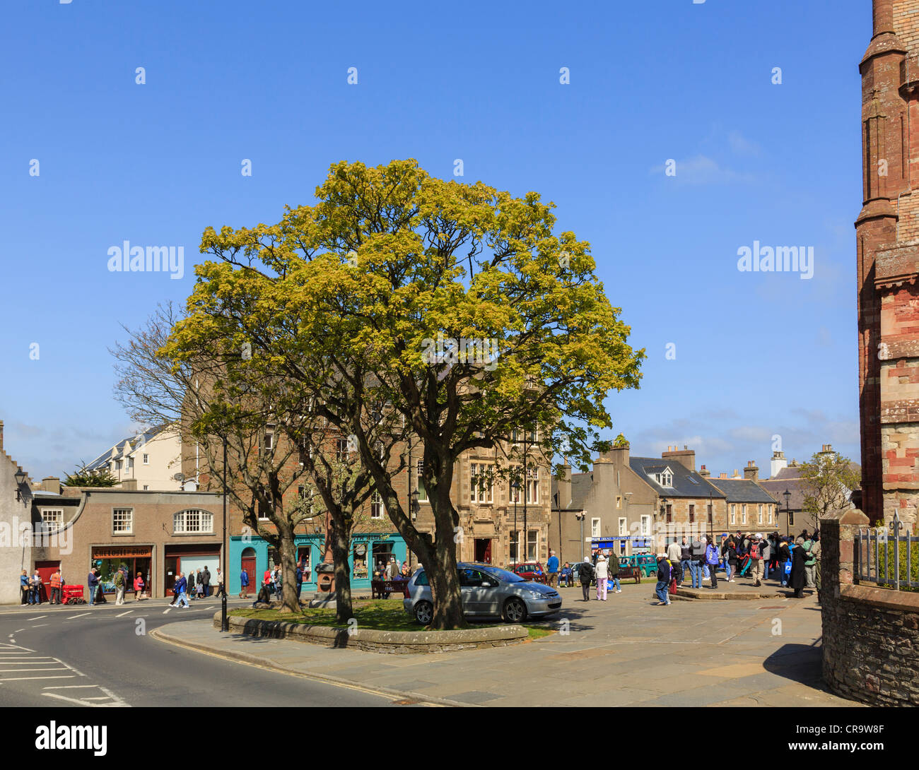Scena di strada a Kirk verde con alberi che crescono al di fuori di St Magnus Cathedral. Kirkwall Orkney continentale Isole del Nord Scozia UK Foto Stock