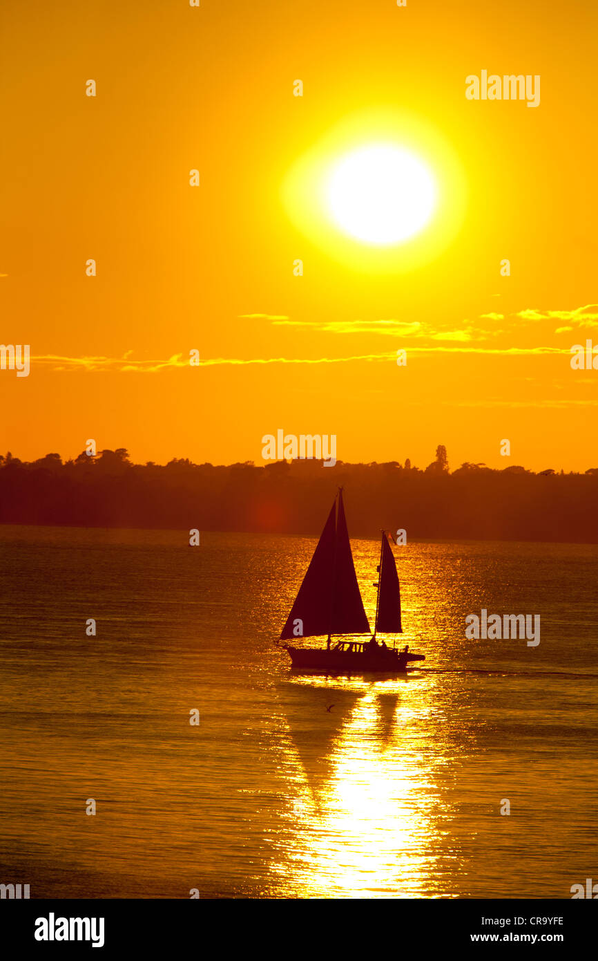 Yacht, Tramonto, Il Solent, cappone, Cowes, Isle of Wight, England, Regno Unito Foto Stock