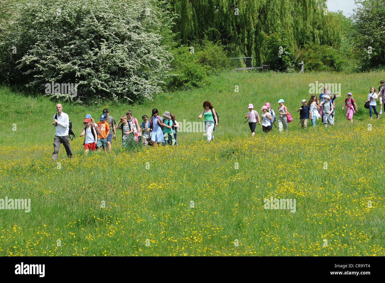 Insegnante di scuola di leader i bambini ad una natura a piedi lungo il Lodge in campo Ironbridge Shropshire Foto Stock
