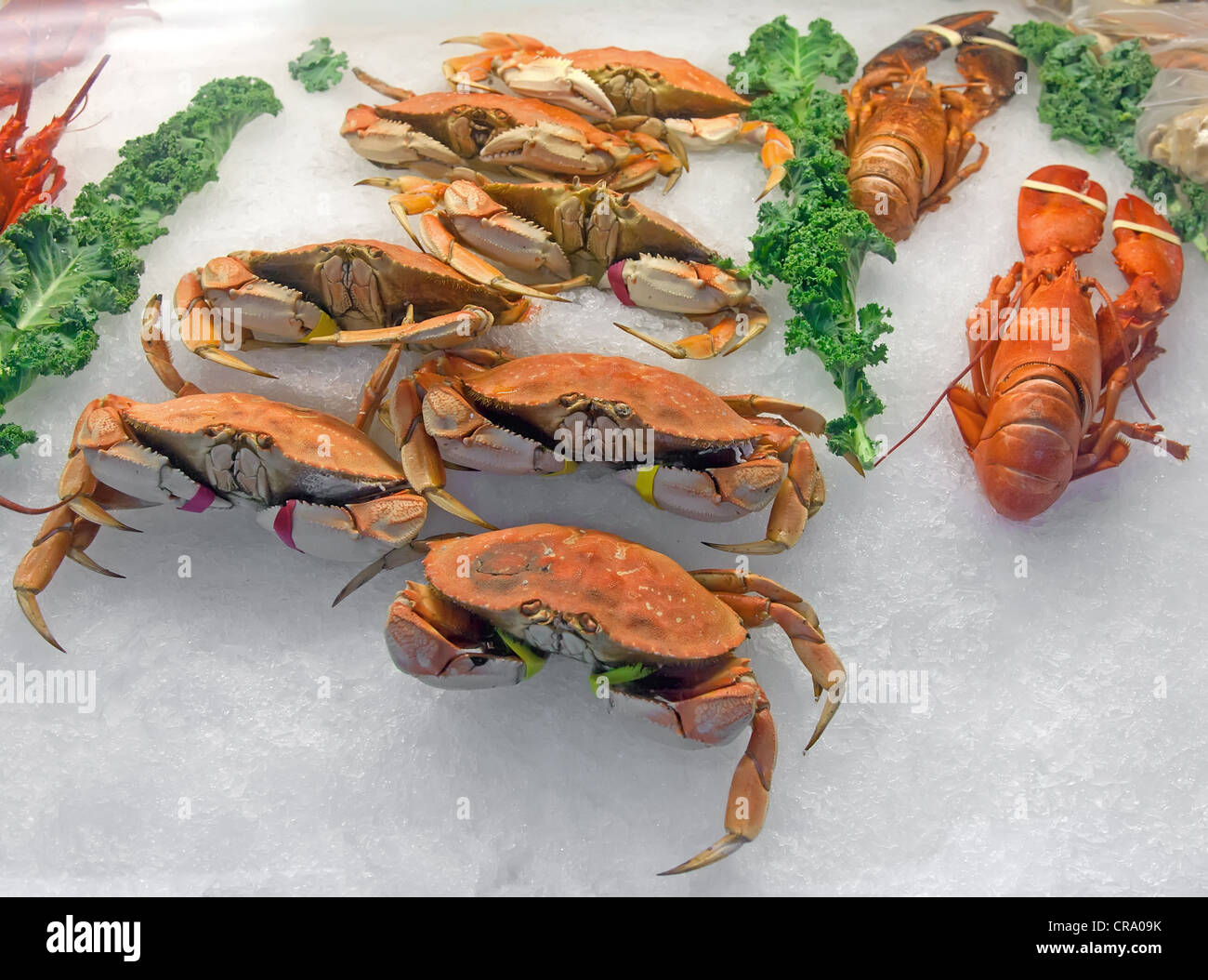 La neve di granchi e aragoste sul ghiaccio nel mercato del pesce Foto Stock