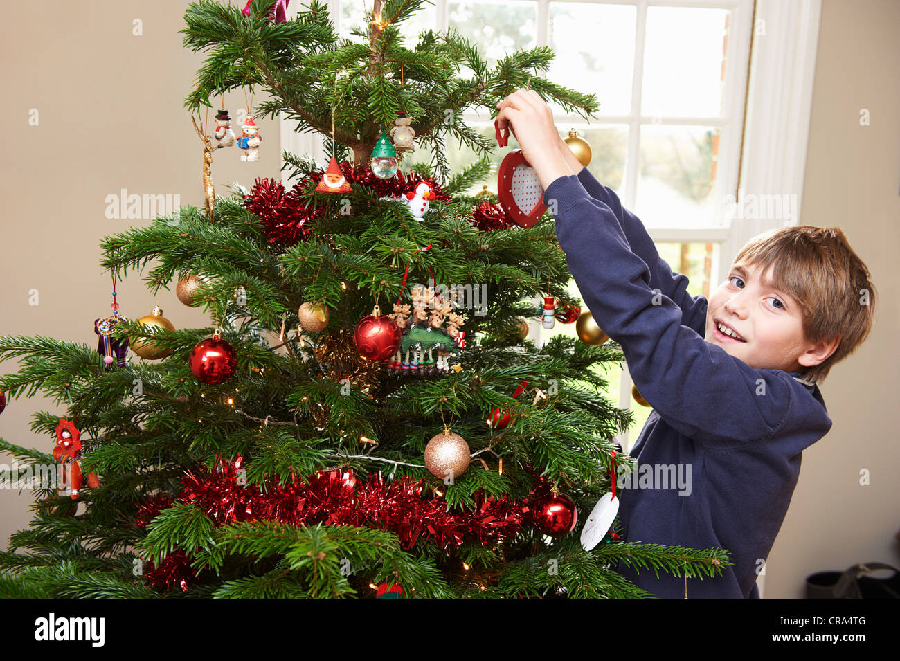 Ragazzo decorare albero di Natale Foto Stock
