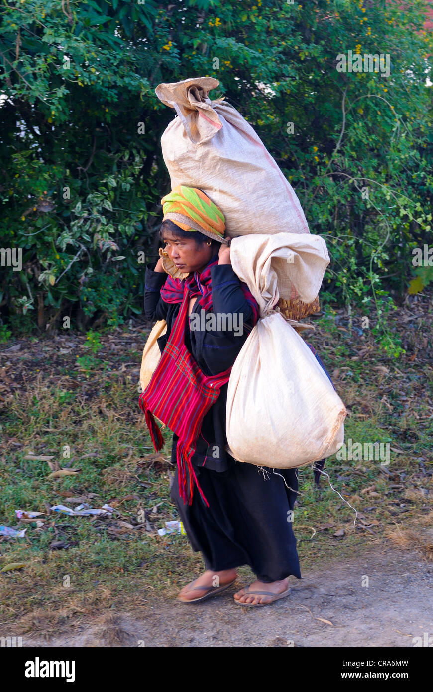 Donna caricato con merci sul suo modo ad un mercato mattutino, Lago Inle, MYANMAR Birmania, Asia sud-orientale, Asia Foto Stock