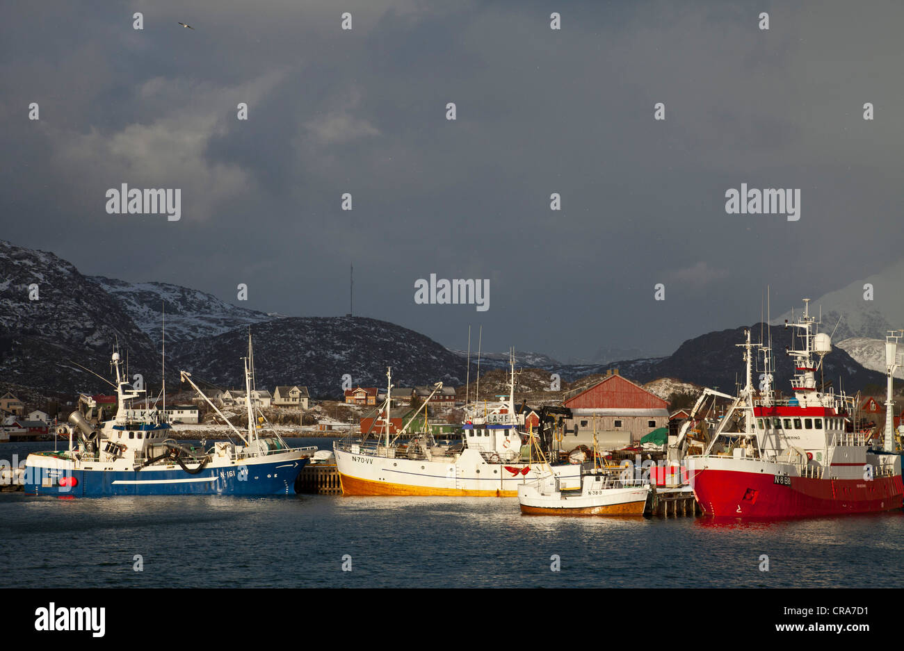 Delle navi al porto di La luce della sera, Ballstad, isola Vestvagoy, Lofoten, Norvegia, Europa Foto Stock