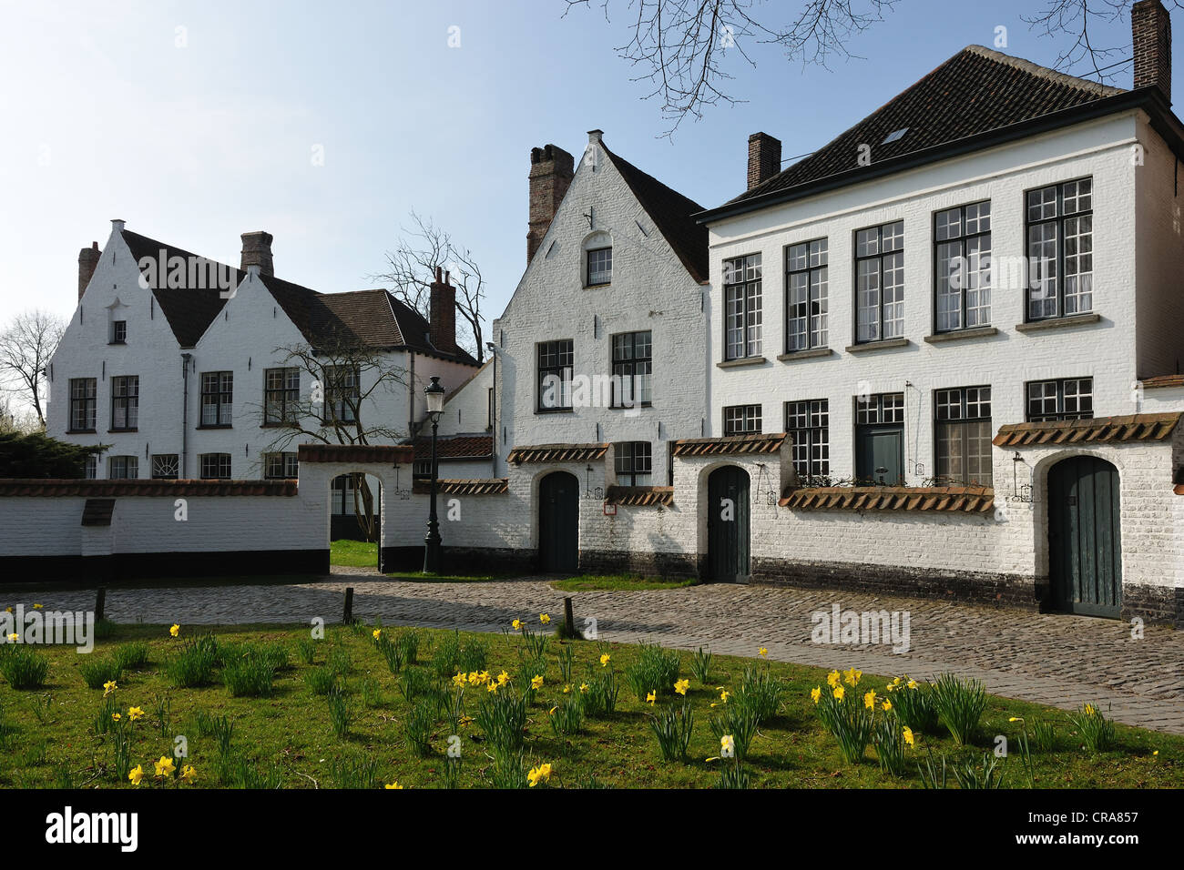 Case in convento, beghinaggio di Bruges, Fiandre, in Belgio, Europa Foto Stock