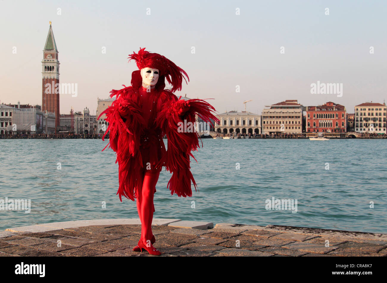 Uomo che indossa una maschera, il Carnevale di Venezia, San Giorgio Maggiore, Venezia, Veneto, Italia, Europa Foto Stock