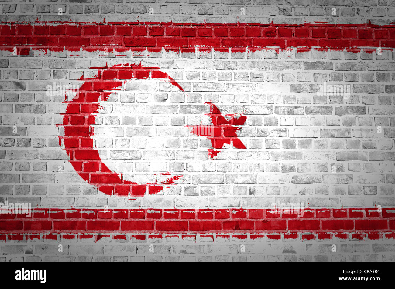 Una immagine della parte settentrionale di Cipro bandiera dipinta su un muro di mattoni in una collocazione urbana Foto Stock