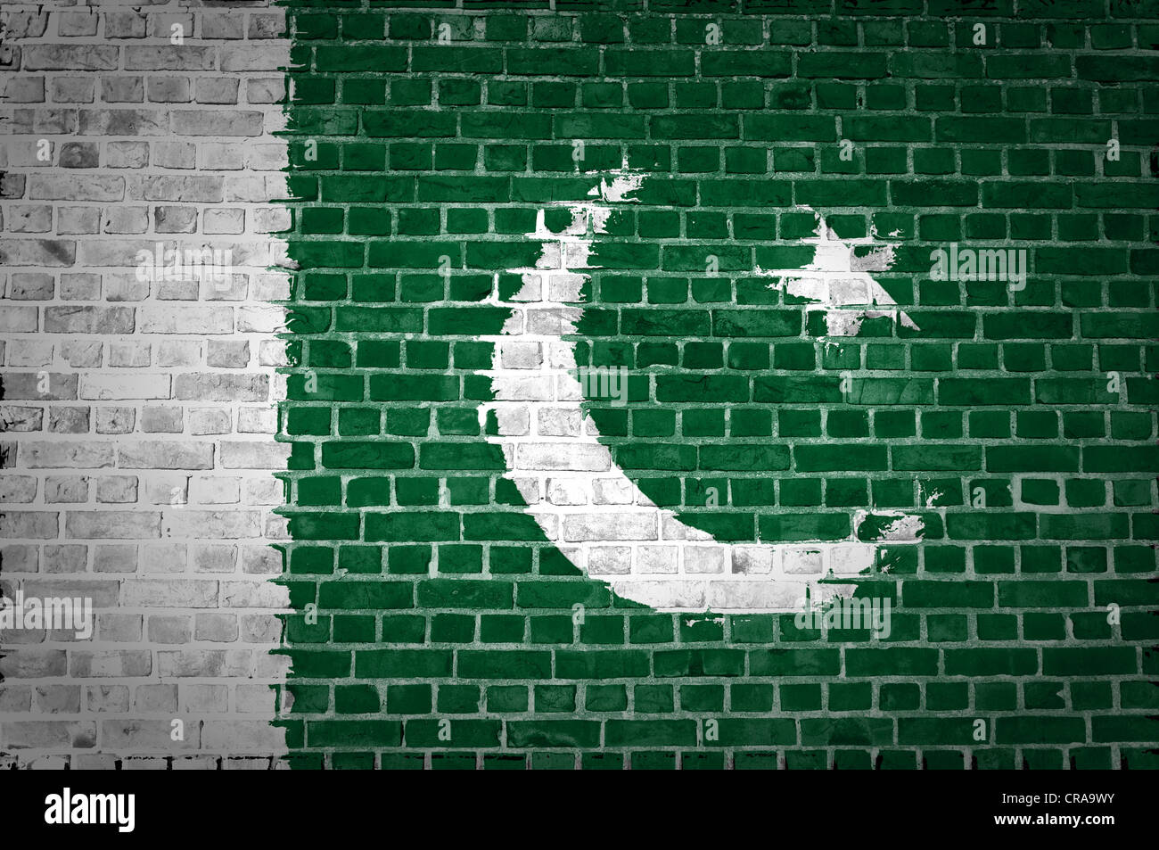 Un'immagine del Pakistan bandiera dipinta su un muro di mattoni in una collocazione urbana Foto Stock