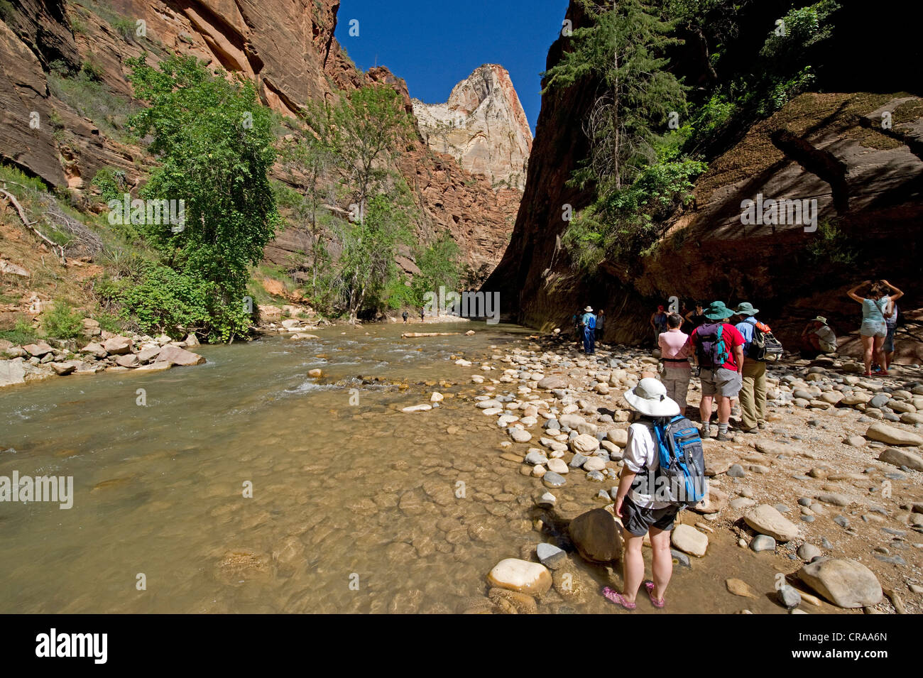 Si restringe, fiume vergine, Parco Nazionale Zion, Utah, Stati Uniti d'America Foto Stock