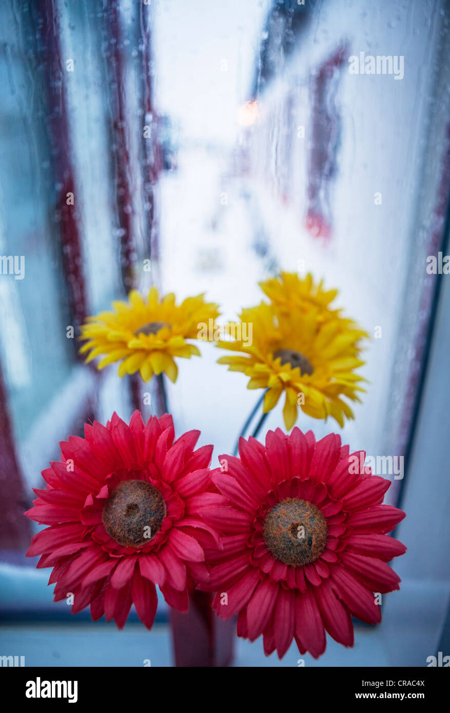 I fiori di plastica nella parte anteriore della finestra, giorno di pioggia Foto Stock