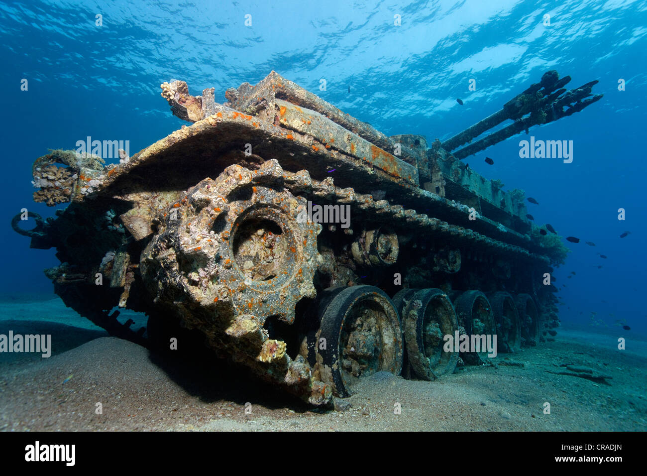American vasca M42 Duster con semovente 40mm anti-tircraft pistola, relitto, Regno Hascemita di Giordania, Mar Rosso, Asia Occidentale Foto Stock