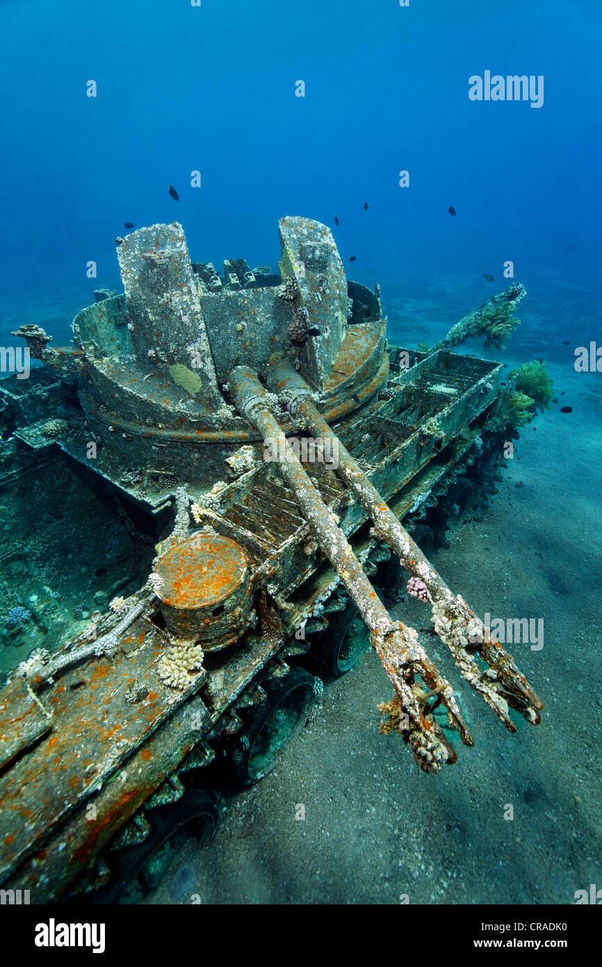American vasca M42 Duster con semovente 40mm anti-tircraft pistola, relitto, Regno Hascemita di Giordania, Mar Rosso, Asia Occidentale Foto Stock