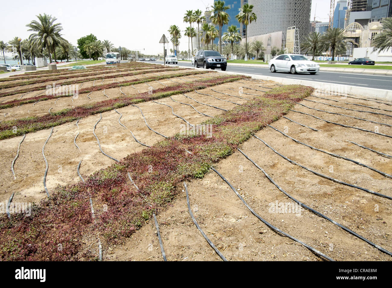 Acqua impianto di irrigazione su letto di fiori a Doha in Qatar Foto Stock
