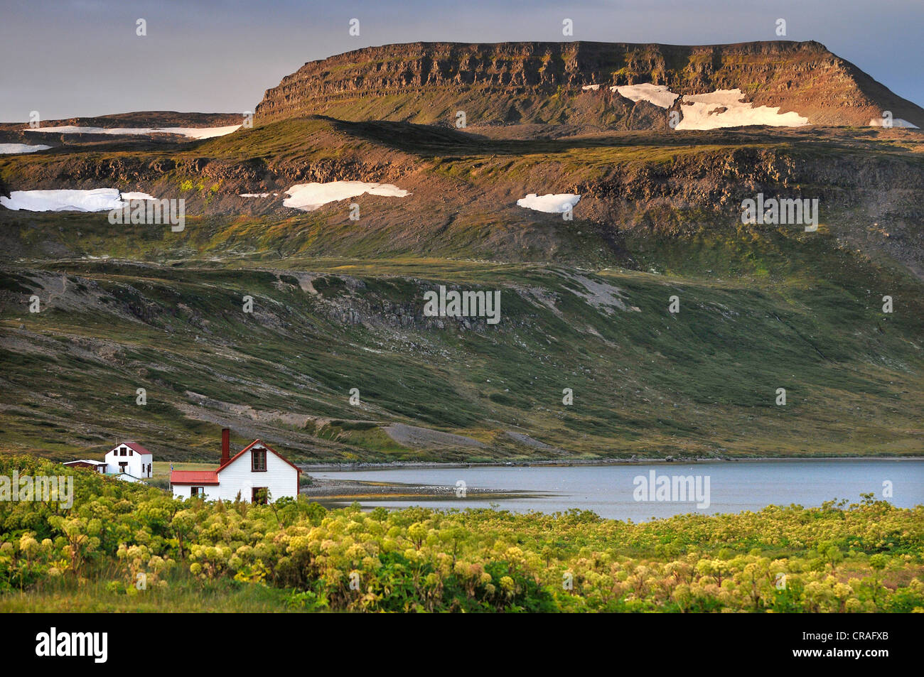 Vecchie case, Hesteyri, Hesteyrarfjoerður o Joekulfirðir, Hornstrandir paradiso escursionistico, Westfjords, Islanda, Europa Foto Stock