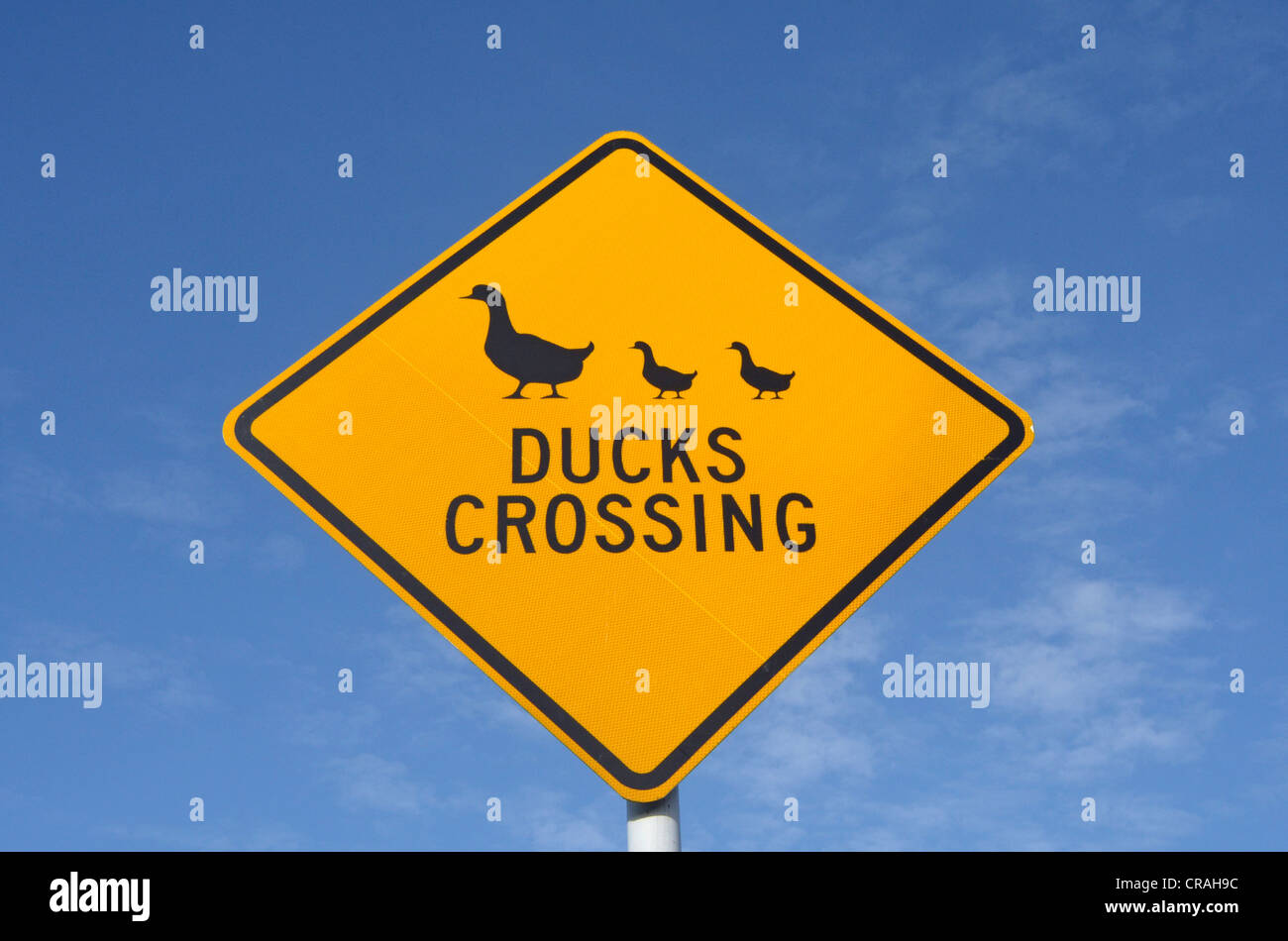 Segno di traffico, anatre crossing, Nuova Zelanda Foto Stock