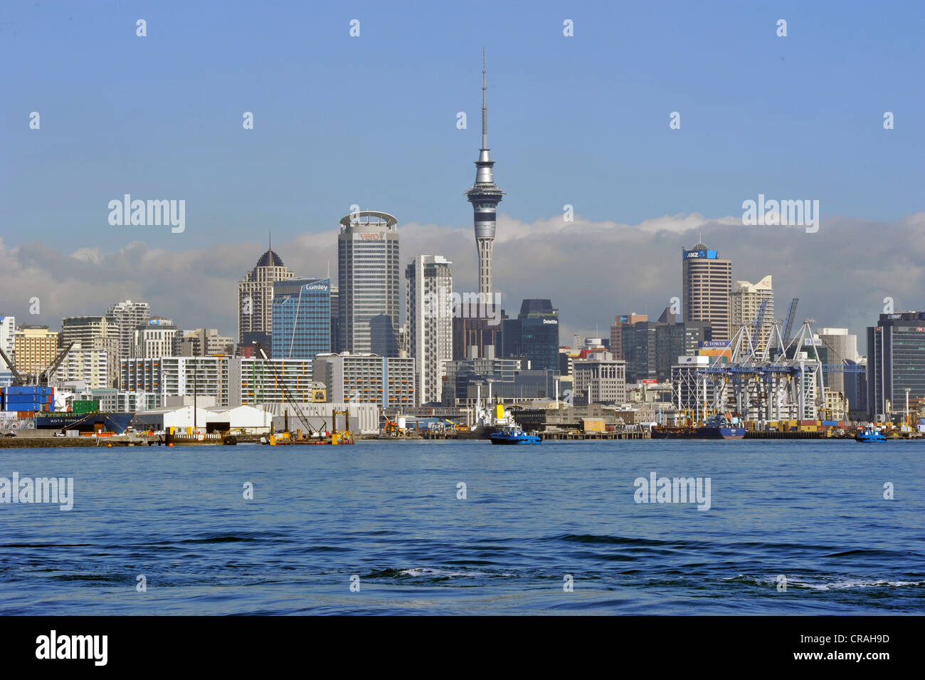 Skyline come visto da di Devonport, Auckland, Nuova Zelanda Foto Stock