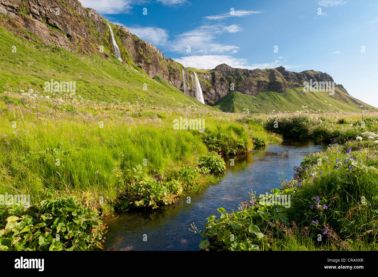 Seljalandsfoss cascata, sud dell'Islanda, Islanda, Europa Foto Stock