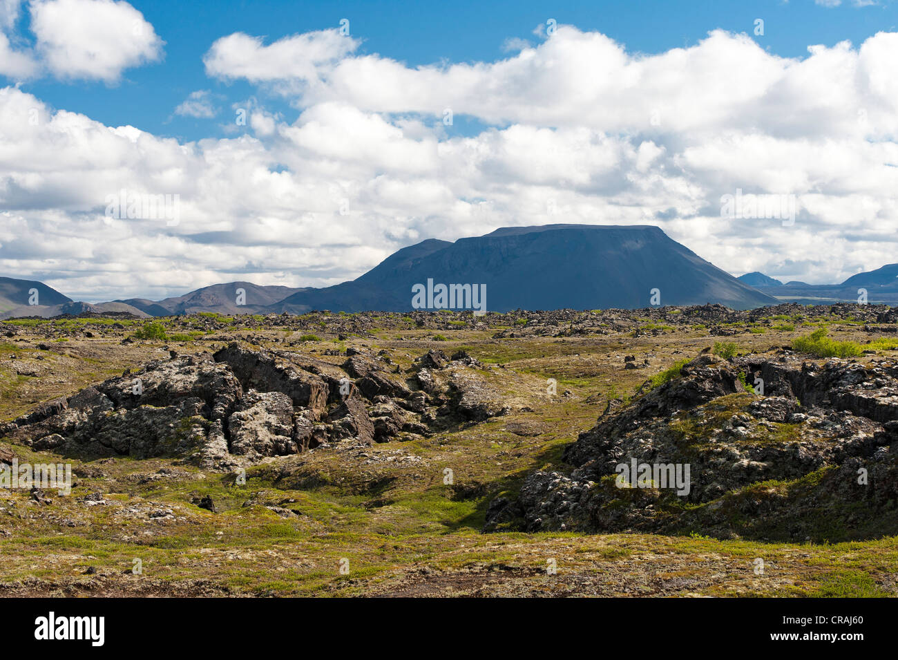 Paesaggio a Myvatn, Nord Islanda, Europa Foto Stock