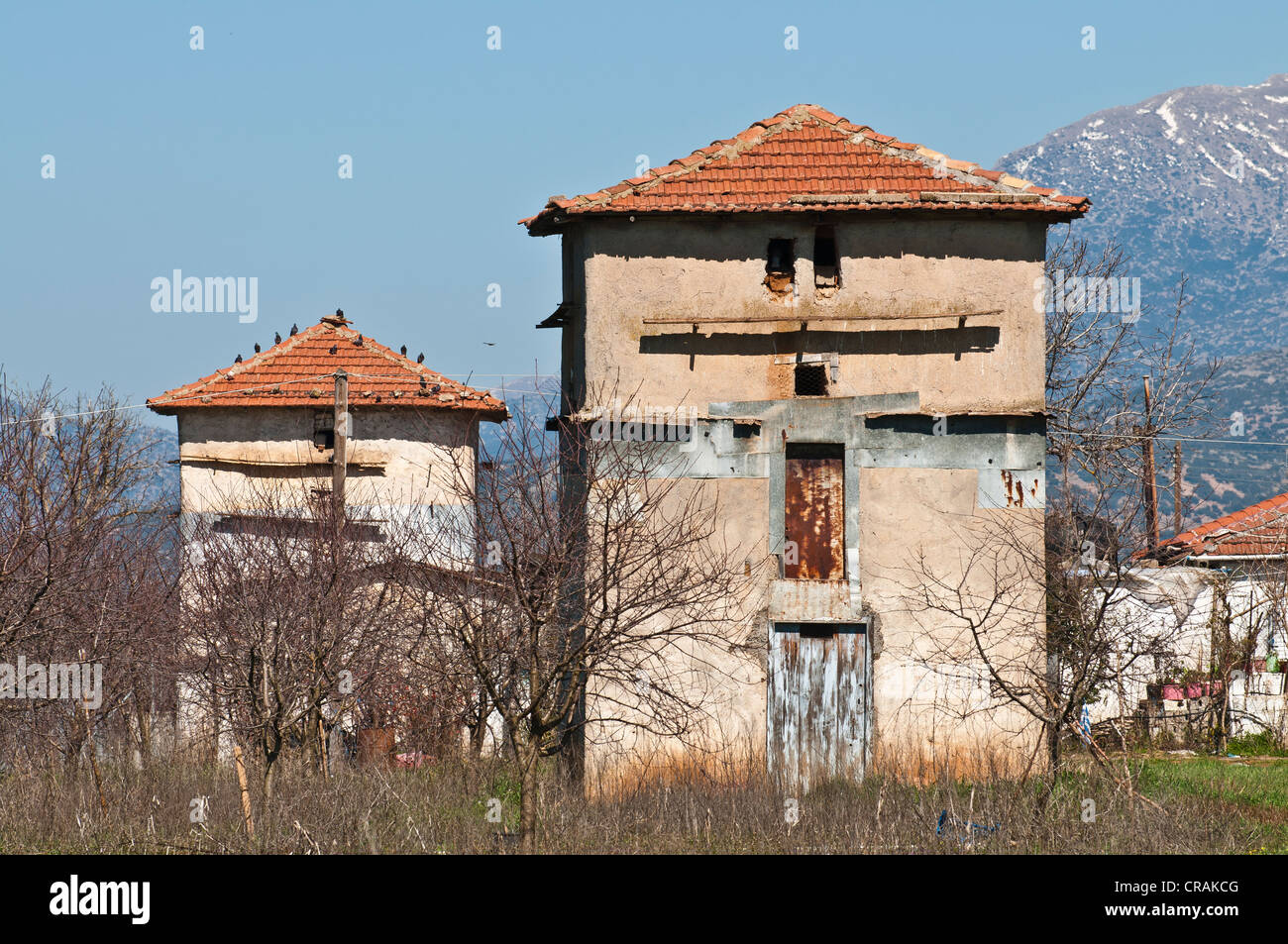 Piccoli Colombai, tipico della zona di Mantineia vicino a Tripoli in Arcadia, Peloponneso, Grecia Foto Stock