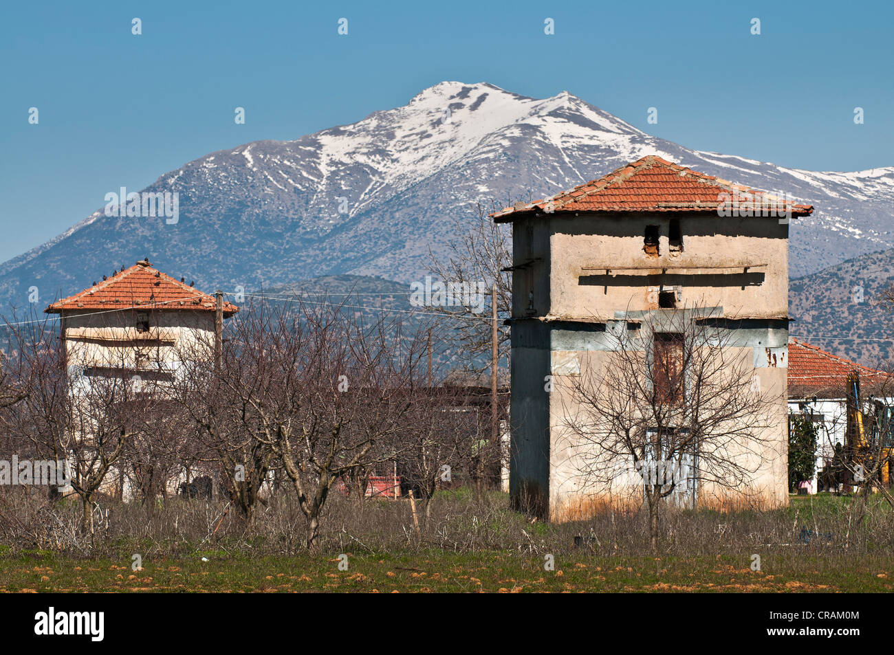 Piccoli Colombai, tipico della zona di Mantineia vicino a Tripoli in Arcadia, Peloponneso, Grecia Foto Stock