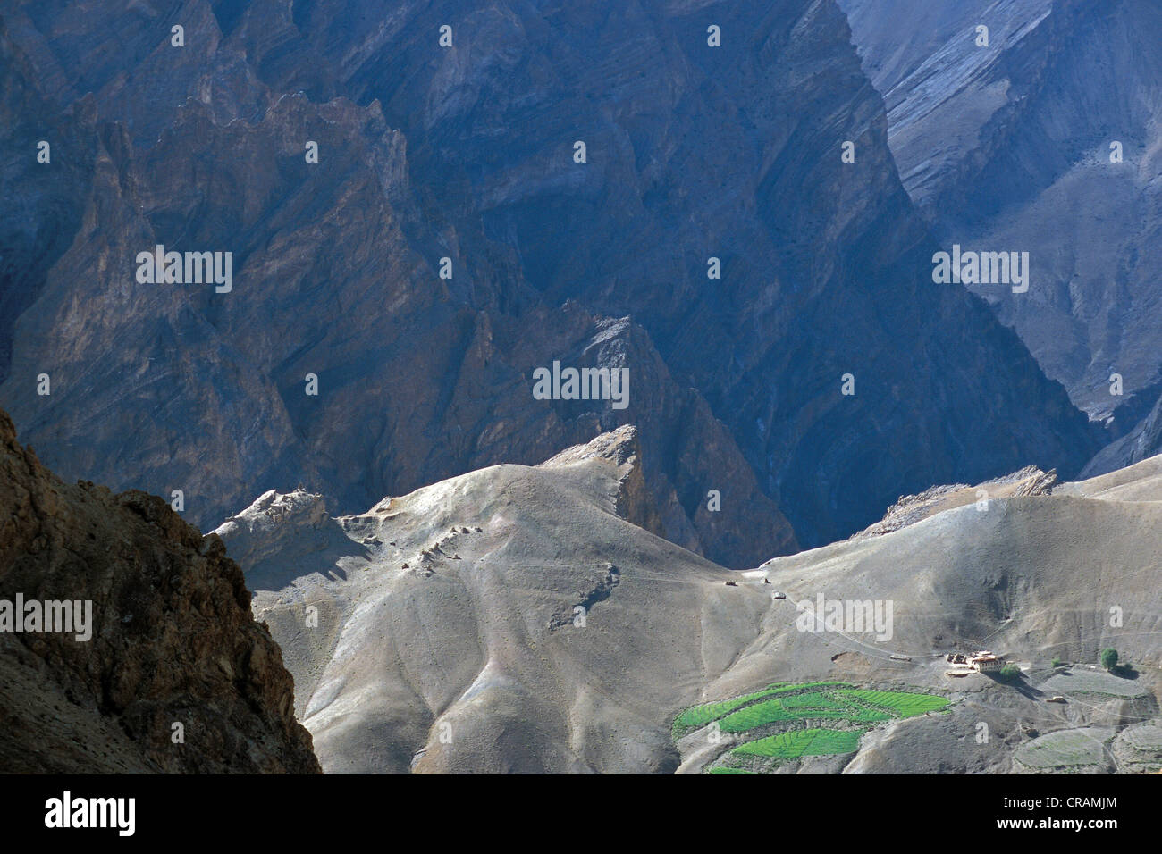Lonely cascina con un campo vicino a Lingshed, Zanskar, Ladakh Himalaya indiano, Jammu e Kashmir India del nord, India, Asia Foto Stock