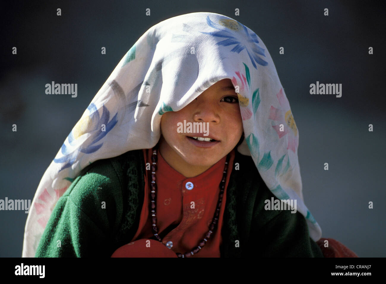 Ragazze protegge la sua testa contro il sole con un panno, Lingshed, Zanskar, Ladakh, Jammu e Kashmir India del Nord, India Foto Stock