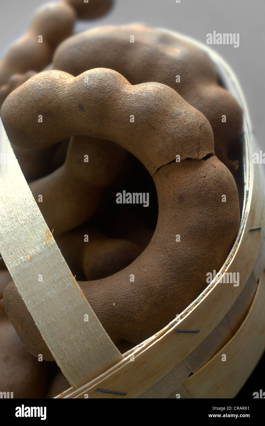 (Tamarindo Tamarindus indica), pod in un cestello Foto Stock