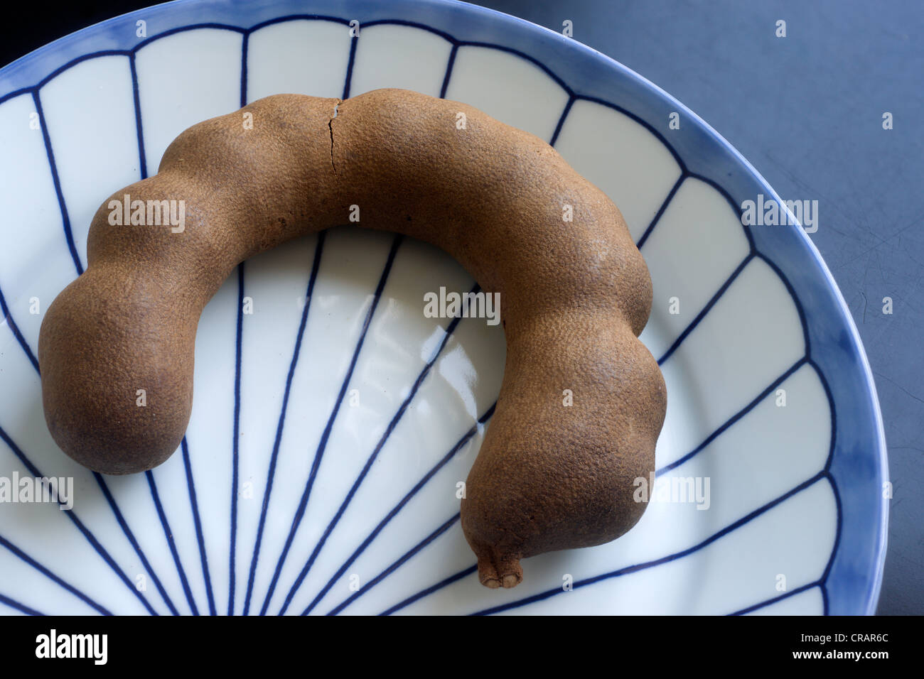 (Tamarindo Tamarindus indica), pod su una piastra Foto Stock