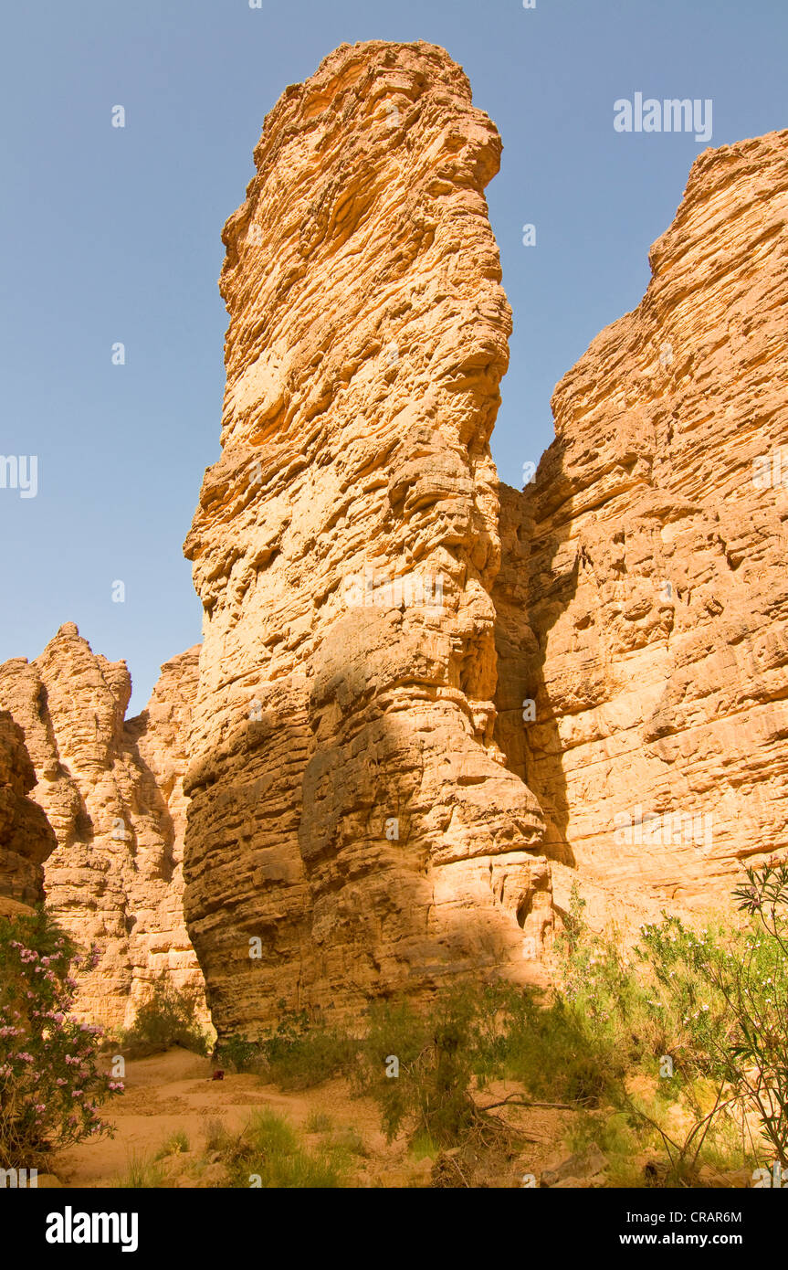 Essendilene Gorge, Algeria, Africa Foto Stock