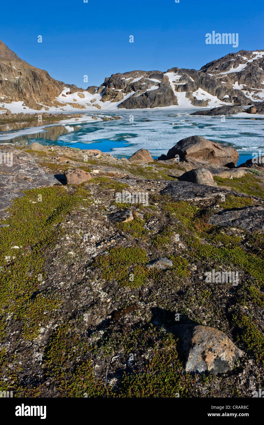Paesaggio vicino Tasiilaq, precedentemente noto come Ammassalik, est della Groenlandia, Groenlandia Foto Stock