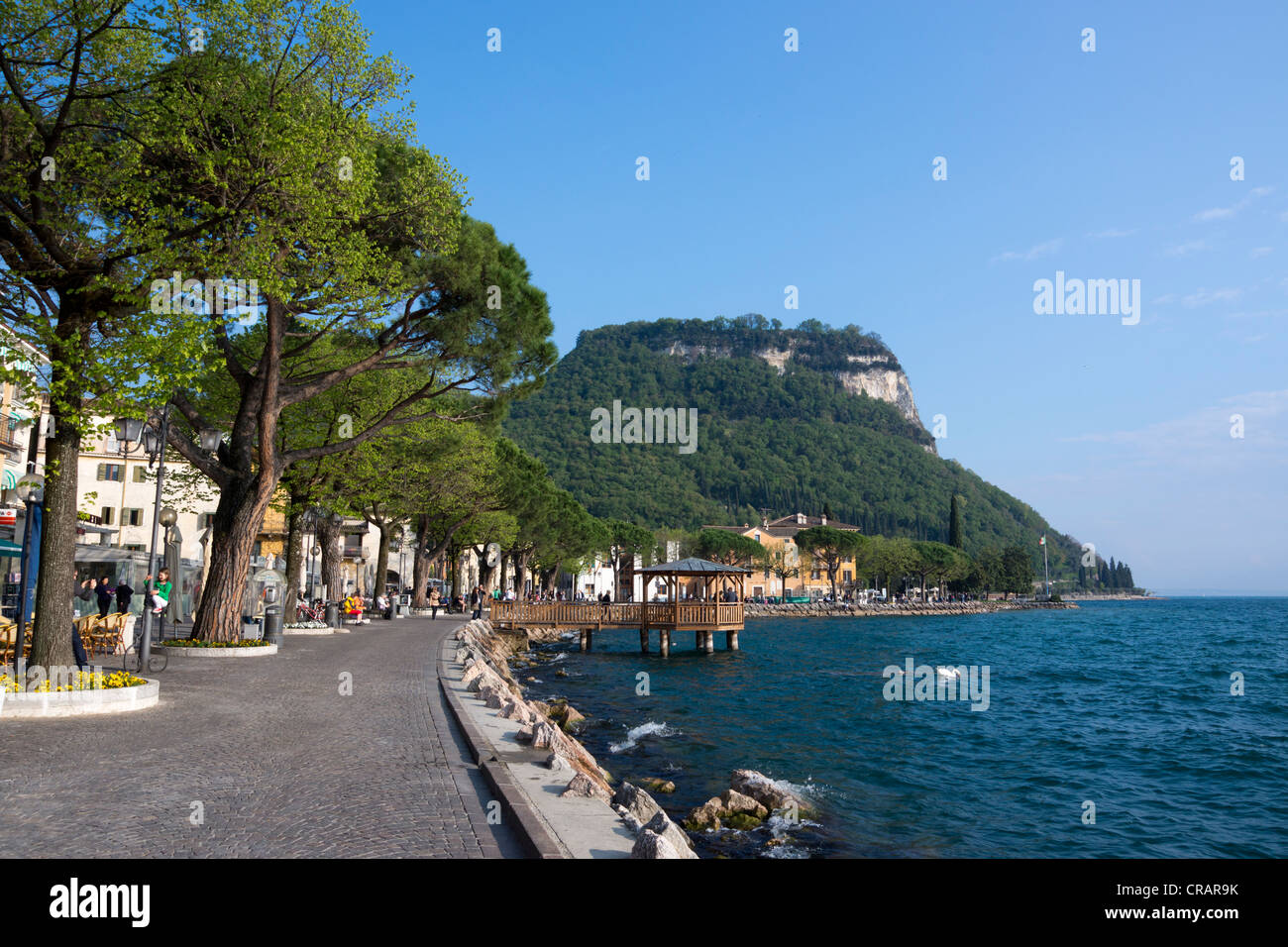 Lago di Garda il comune di Garda, provincia di Verona, regione Veneto , Italia, Europa Foto Stock