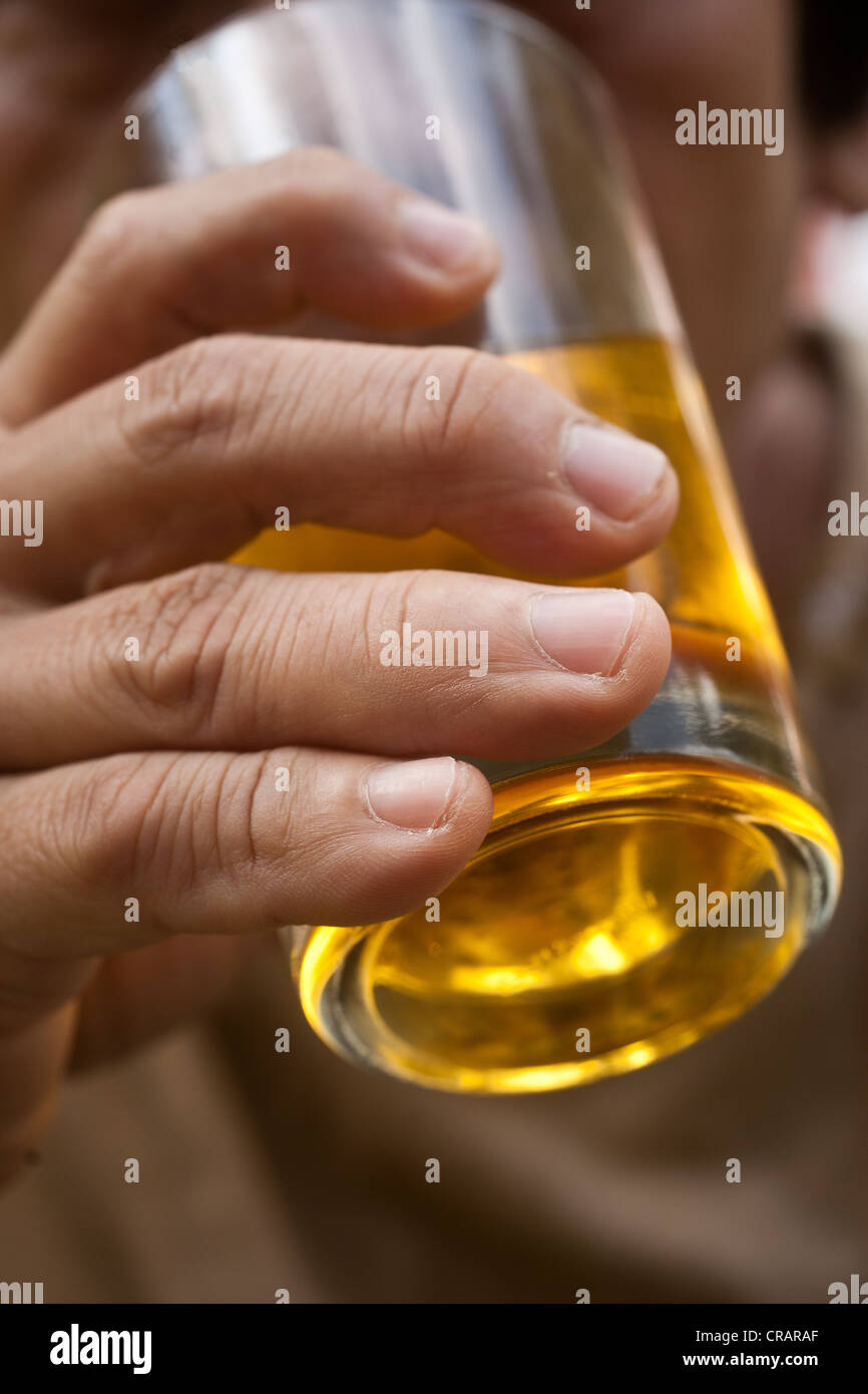 Mano che tiene un bicchiere di sidro di mele Foto Stock