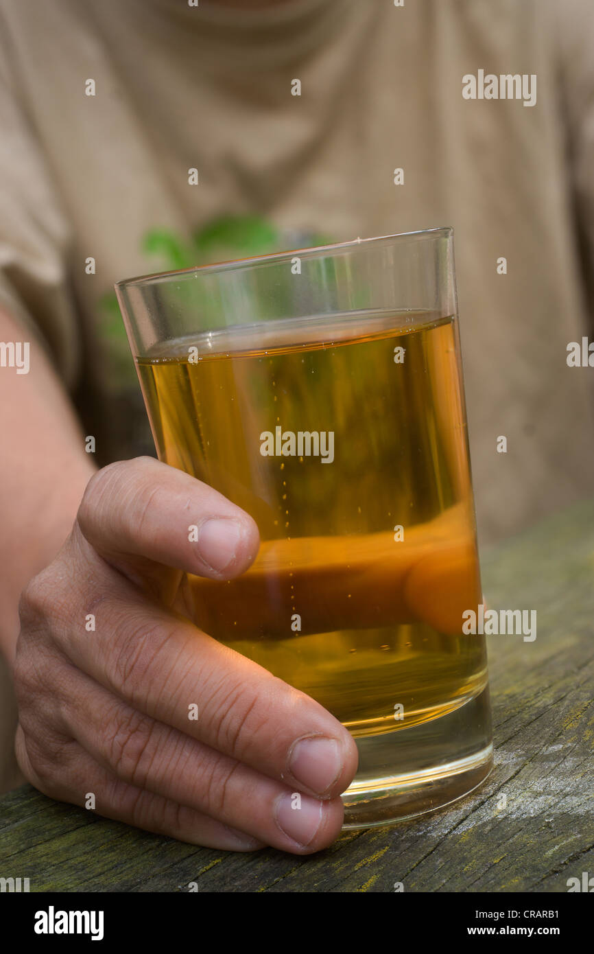 Mano che tiene un bicchiere di sidro di mele Foto Stock