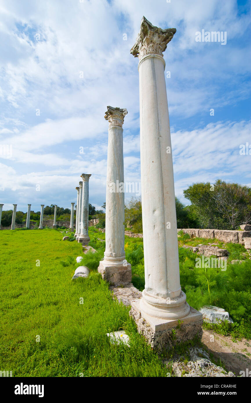 Il sito archeologico romano dei salami, parte turca di Cipro Foto Stock