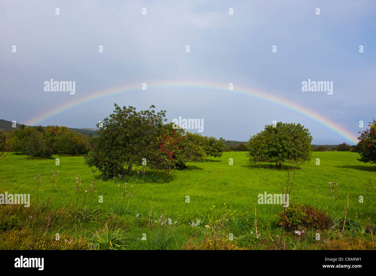 Paesaggio con arcobaleno, penisola Karpas, parte turca di Cipro Foto Stock