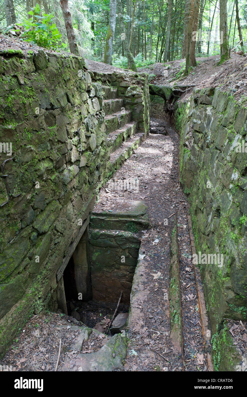 Il trench, post dalla prima guerra mondiale, le linge, Alsace Vosges, Francia, Europa Foto Stock