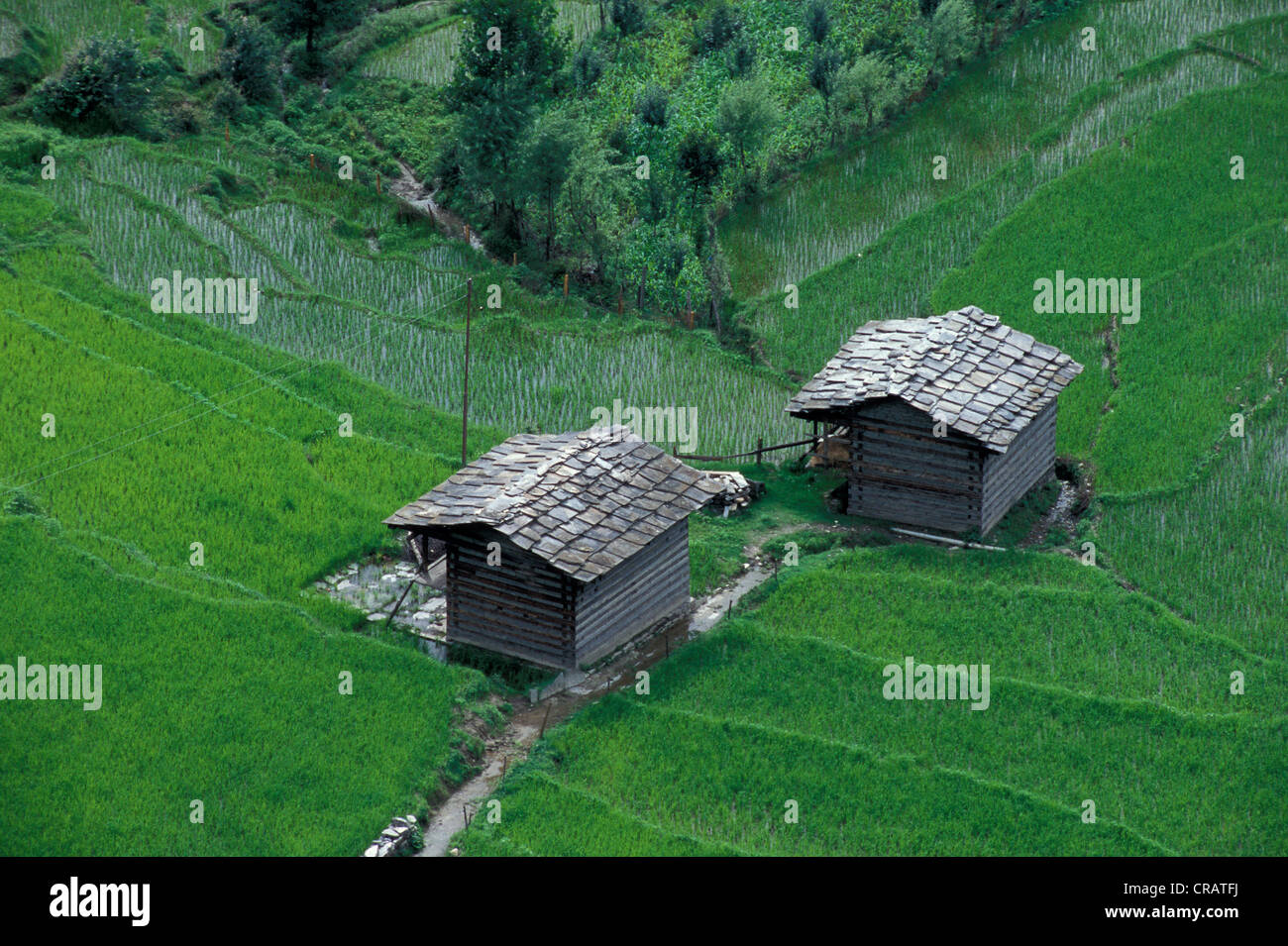 Dal tetto di ardesia casa in Manali, Kullu valley, Himachal Pradesh, India del Nord, India, Asia Foto Stock