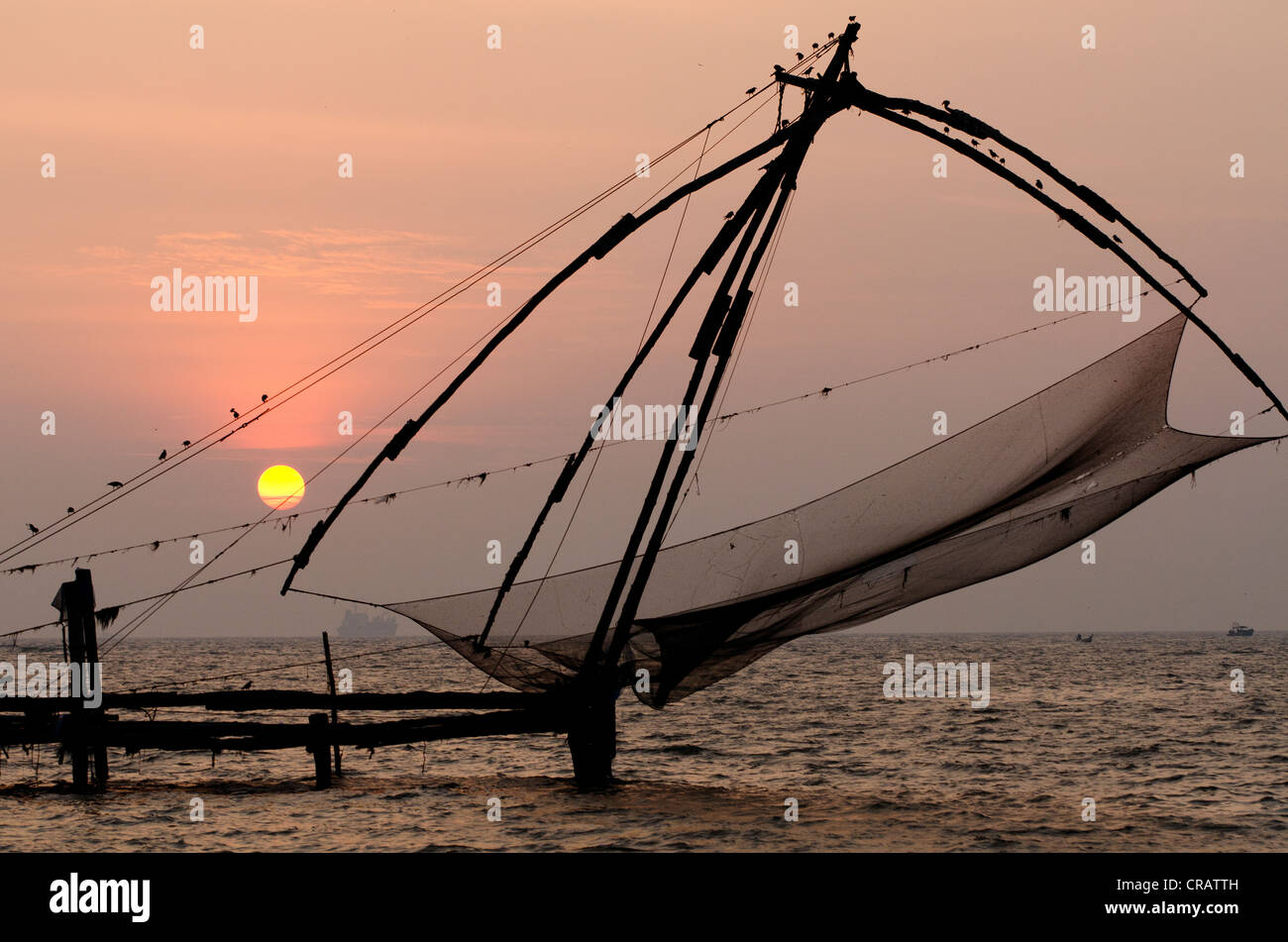 Le reti da pesca cinesi, stretto vicino a Fort Kochi, Kerala, India meridionale, India, Asia Foto Stock