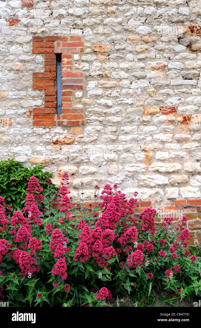 Edificio tradizionale materiale del fatto a mano di mattoni e blocchi di calcare la realizzazione di un muro con una finestra a fessura e fiori di colore rosso. Foto Stock