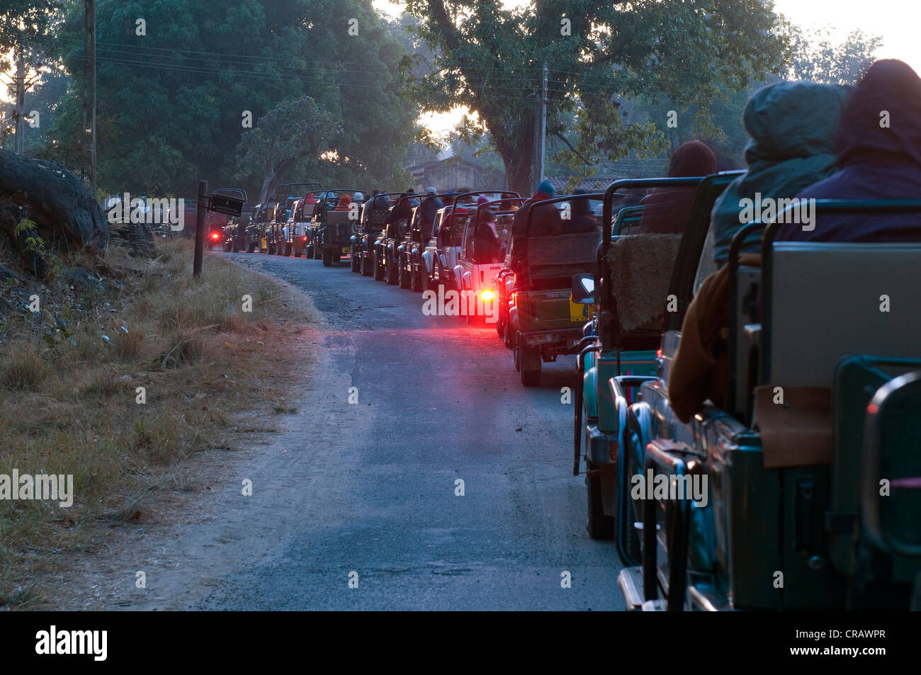 Coda di jeep con turisti, appena prima che i cancelli del parco sono aperti, Parco Nazionale di Kanha, Madhya Pradesh, India, Asia Foto Stock