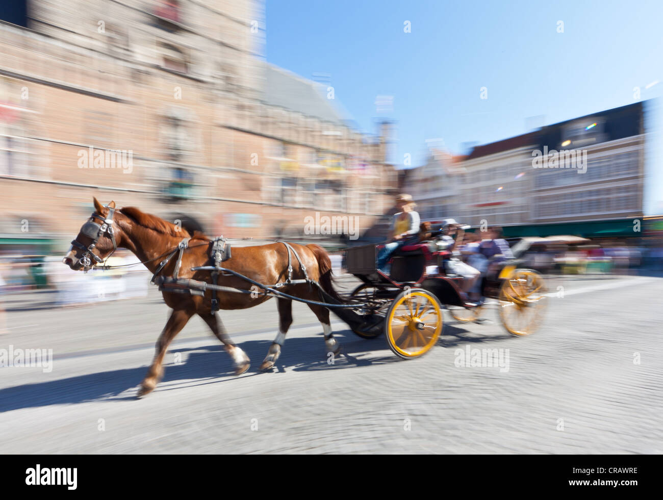 Carrozza a cavalli passando il Belfort belfry o torre campanaria, Grote Markt Market Square, il centro storico di Bruges Foto Stock